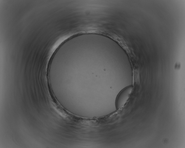 X0000092110147200710101150