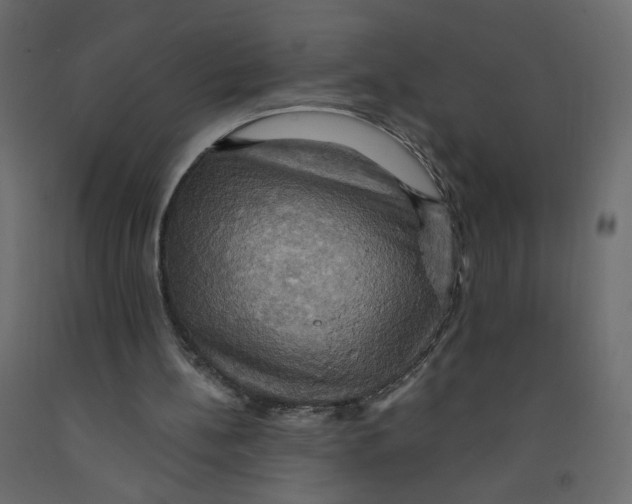 X0000092110148200710101150