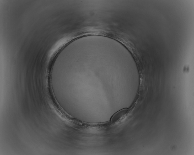 X0000092110149200710101150