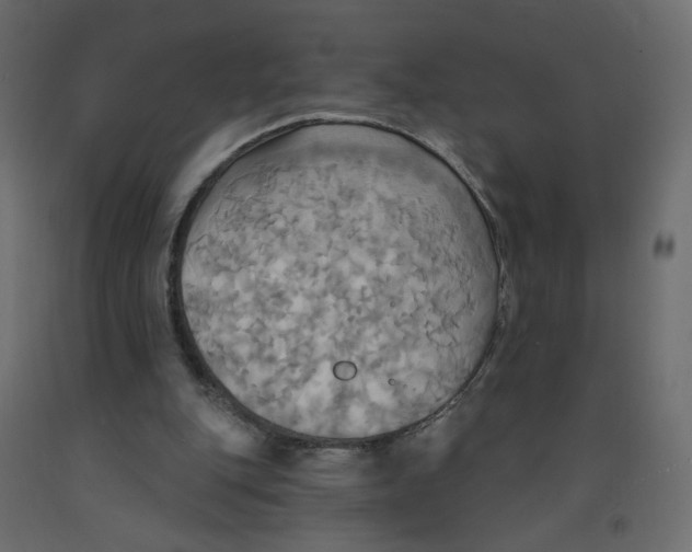 X0000092110151200710101150