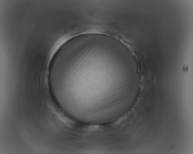 X0000092110152200710101150