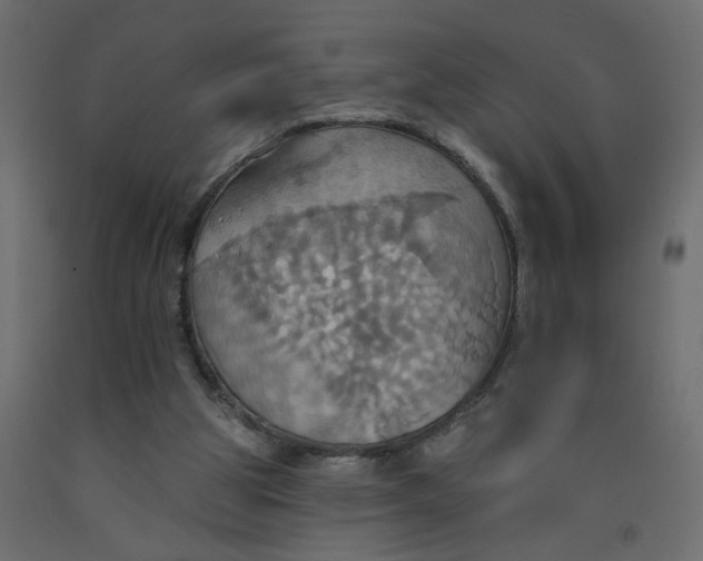 X0000092110153200710101150