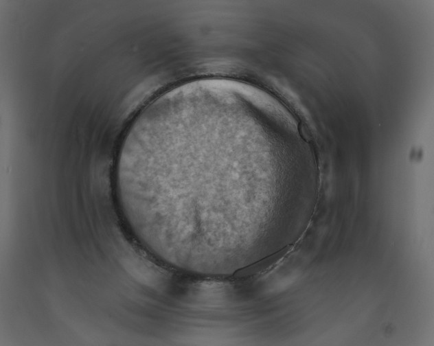 X0000092110154200710101150