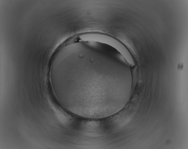 X0000092110156200710101150