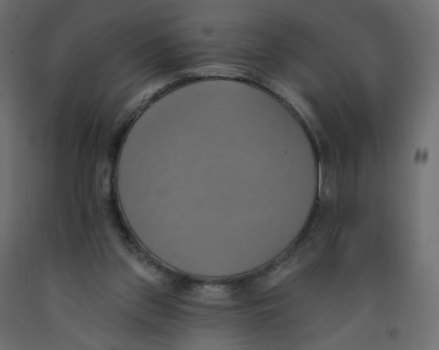 X0000092110157200710101150