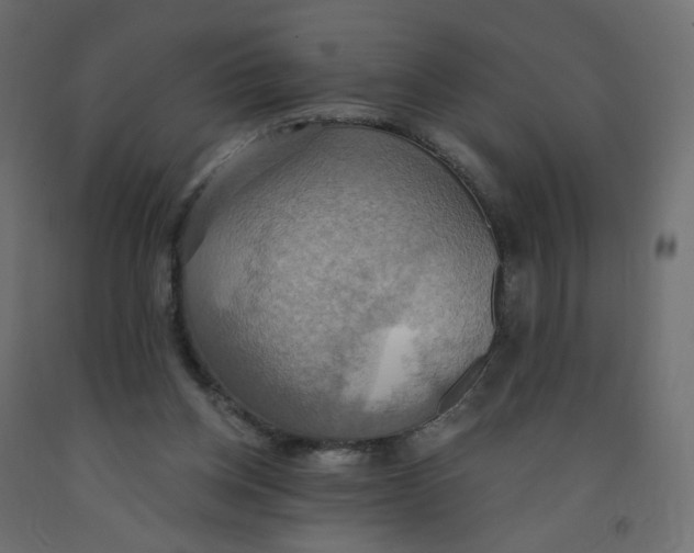 X0000092110158200710101150