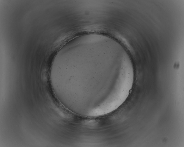 X0000092110161200710101151