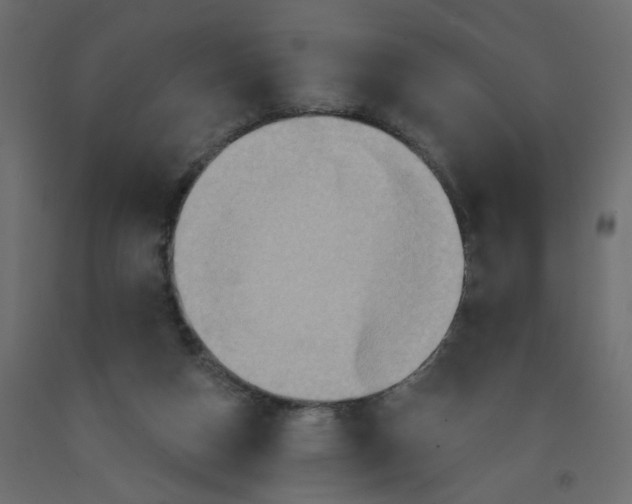 X0000092110162200710101151