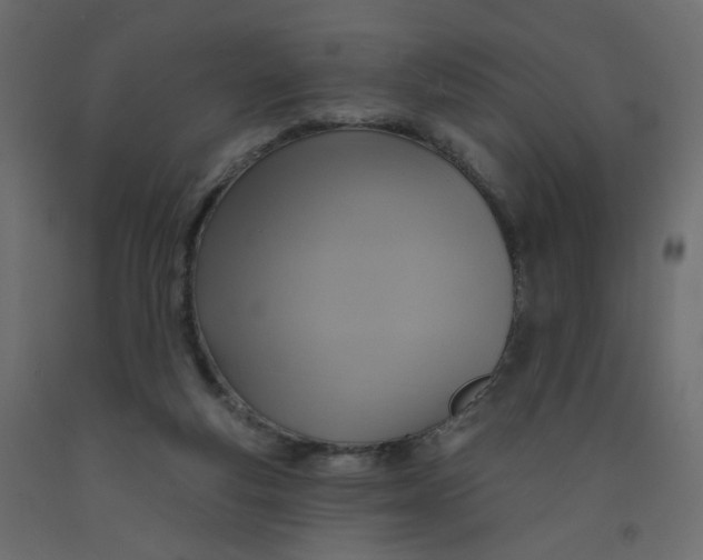 X0000092110163200710101151