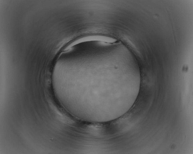 X0000092110164200710101151
