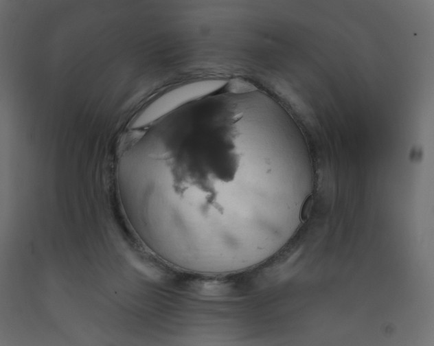 X0000092110165200710101151