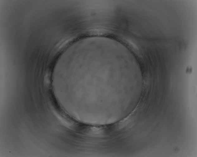 X0000092110166200710101151