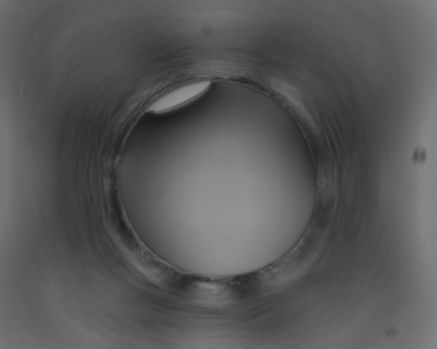 X0000092110167200710101151