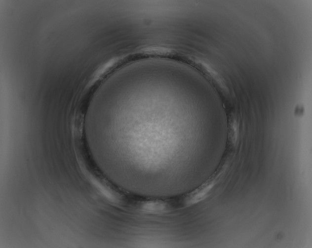 X0000092110168200710101151