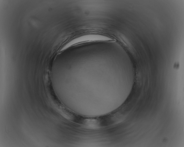 X0000092110169200710101151