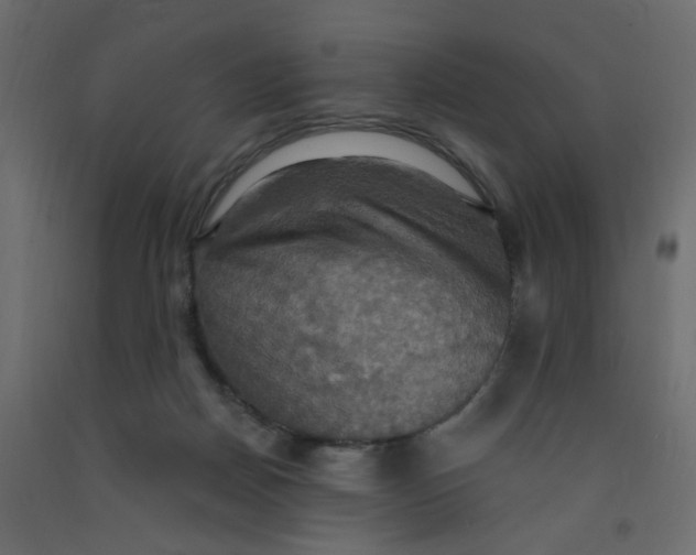 X0000092110170200710101151