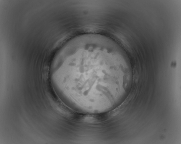X0000092110171200710101151