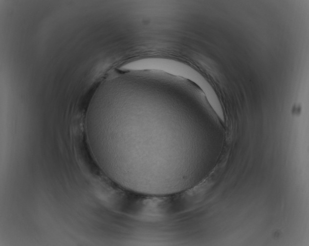 X0000092110172200710101151