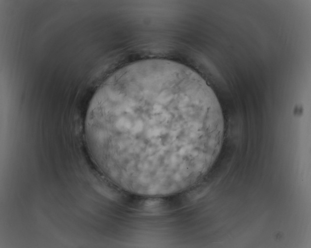 X0000092110173200710101151