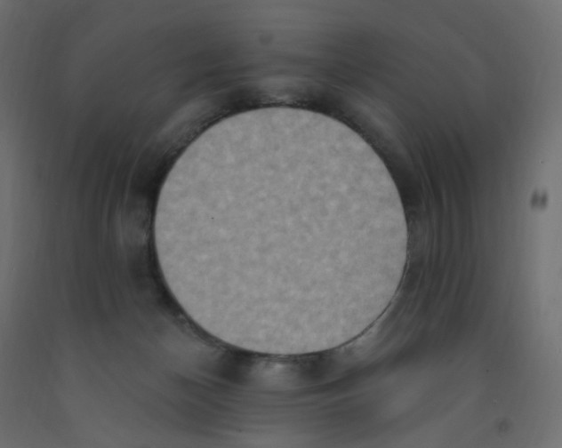 X0000092110174200710101151
