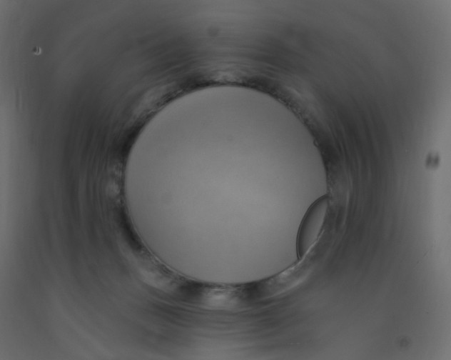 X0000092110175200710101151