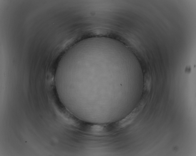 X0000092110176200710101151
