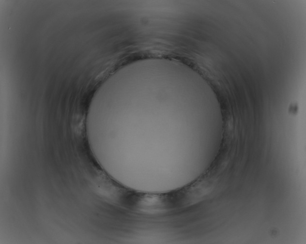 X0000092110177200710101151