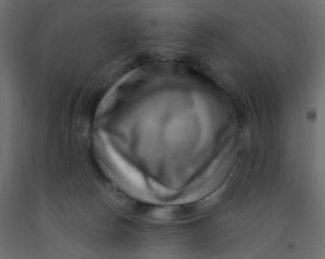 X0000092110178200710101151