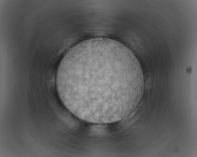 X0000092110179200710101151