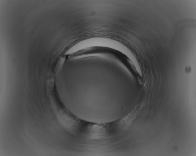 X0000092110180200710101151