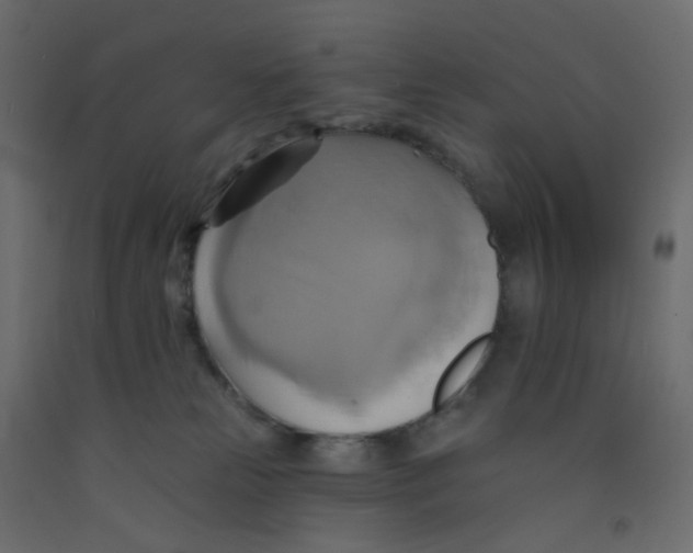 X0000092110181200710101151