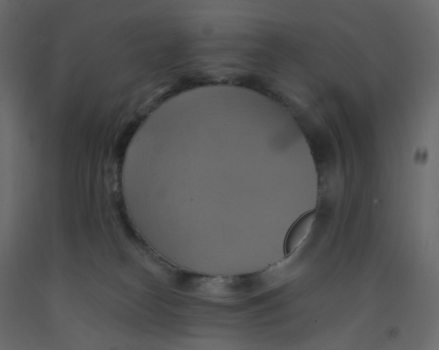 X0000092110182200710101151