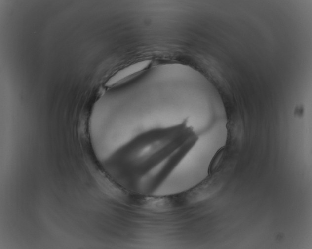 X0000092110185200710101151