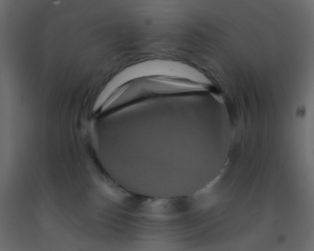 X0000092110186200710101151
