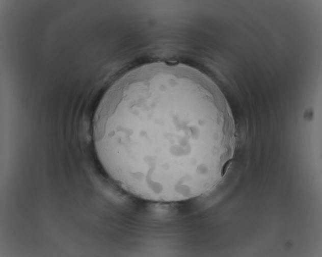 X0000092110187200710101151
