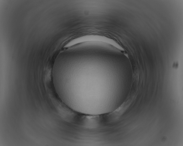 X0000092110188200710101151