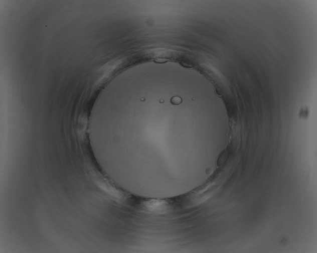 X0000092110189200710101151