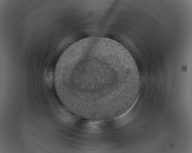 X0000092110190200710101151