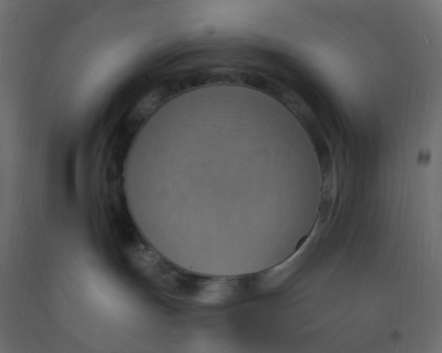 X0000092110191200710101151