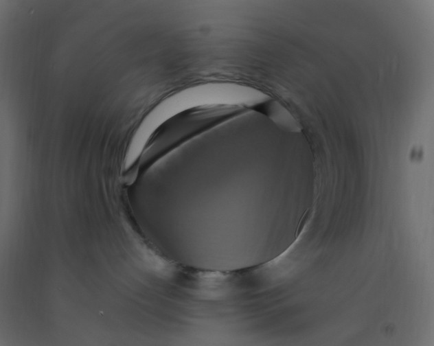 X0000092110192200710101151
