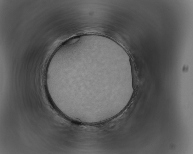 X0000092110193200710101150