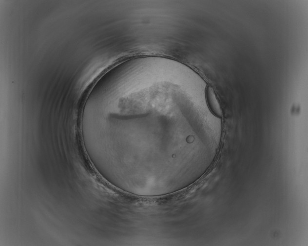 X0000092110194200710101150