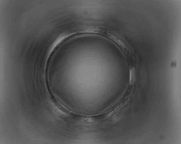 X0000092110195200710101150