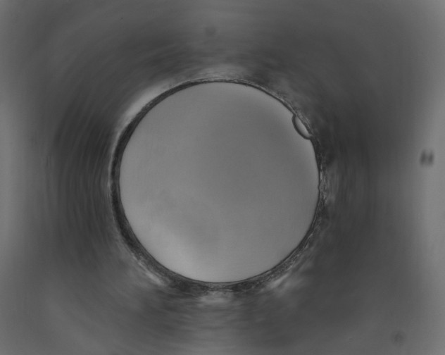 X0000092110196200710101150