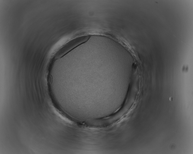 X0000092110197200710101150