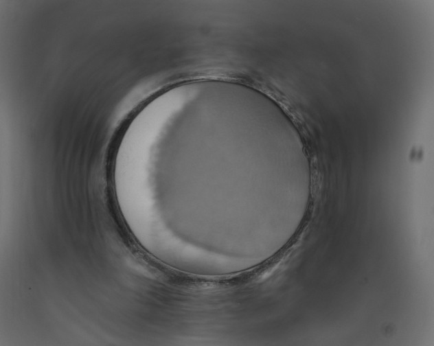 X0000092110198200710101150