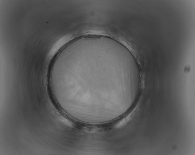 X0000092110199200710101150