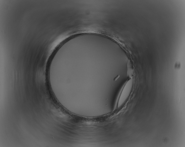 X0000092110200200710101150
