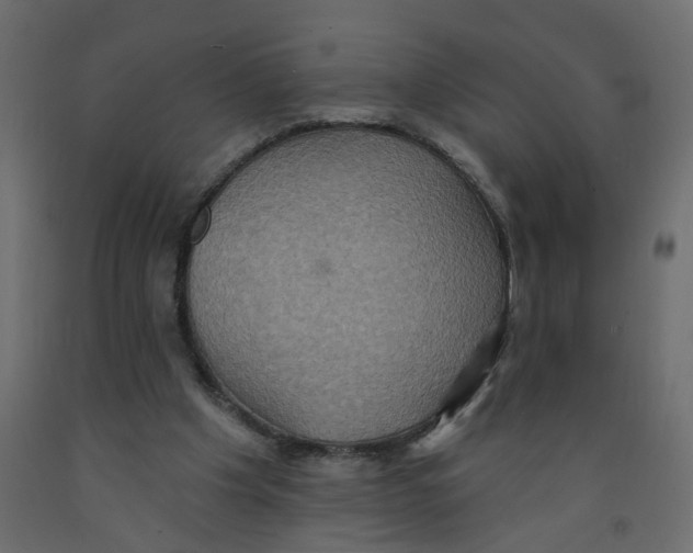 X0000092110201200710101150