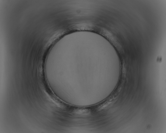 X0000092110202200710101150
